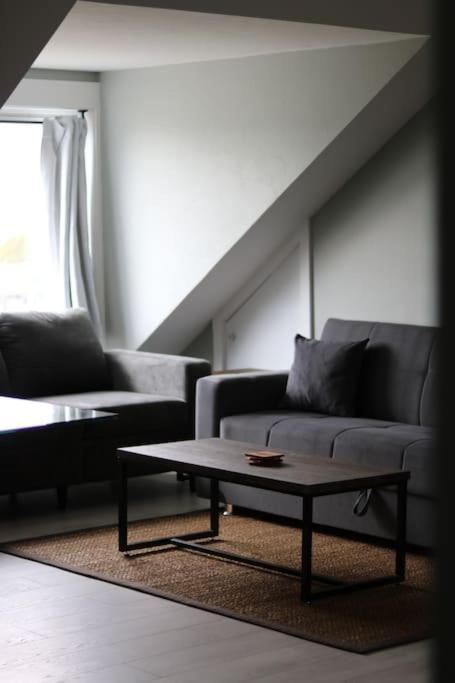 Unique Modern Luxury 2 Bedroom Apartment Rental Chapleau Exteriér fotografie